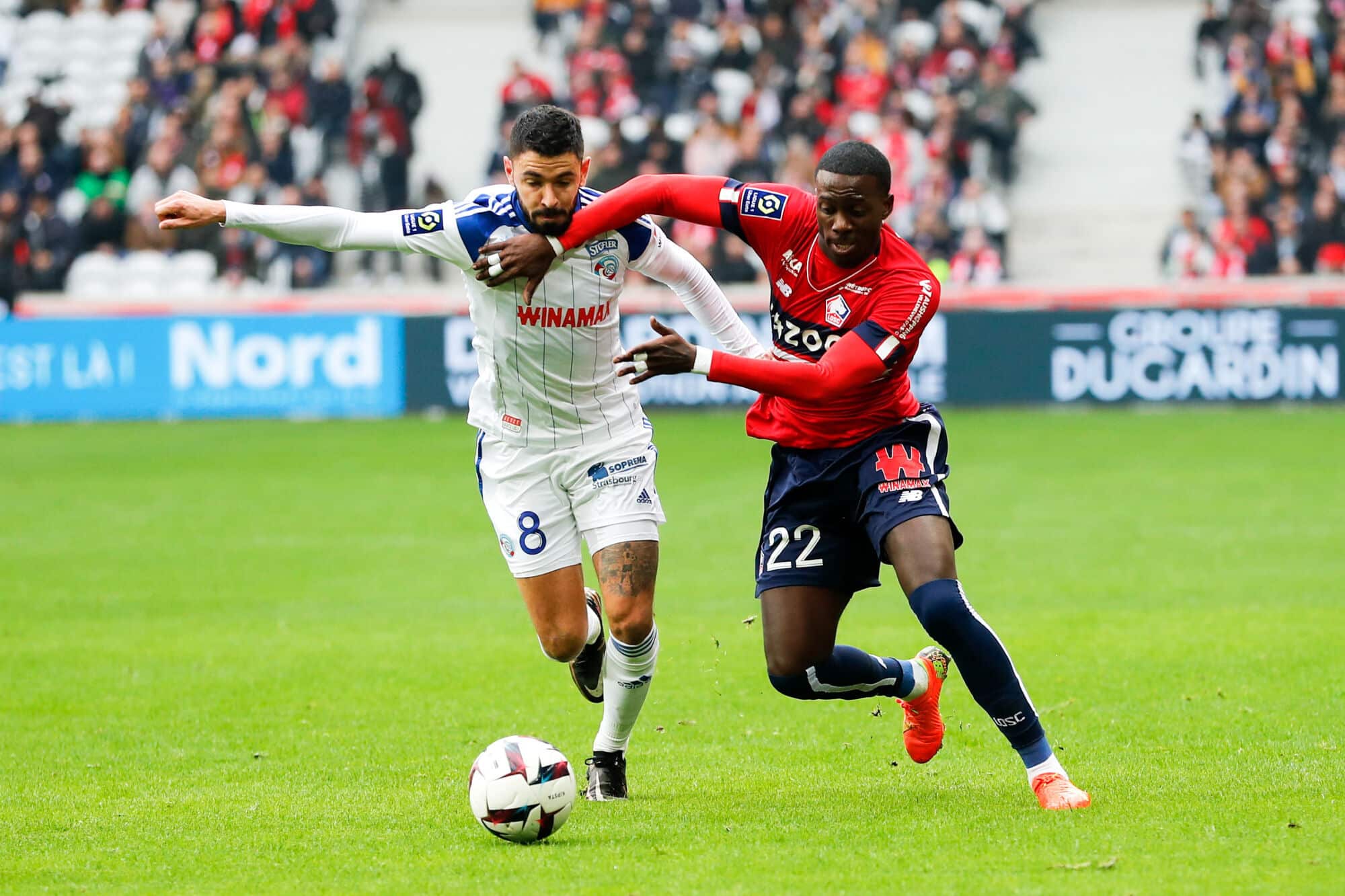 Losc Retour Sur L Essentiel De L Actualit De La Veille Le Petit