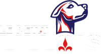 Le petit Lillois