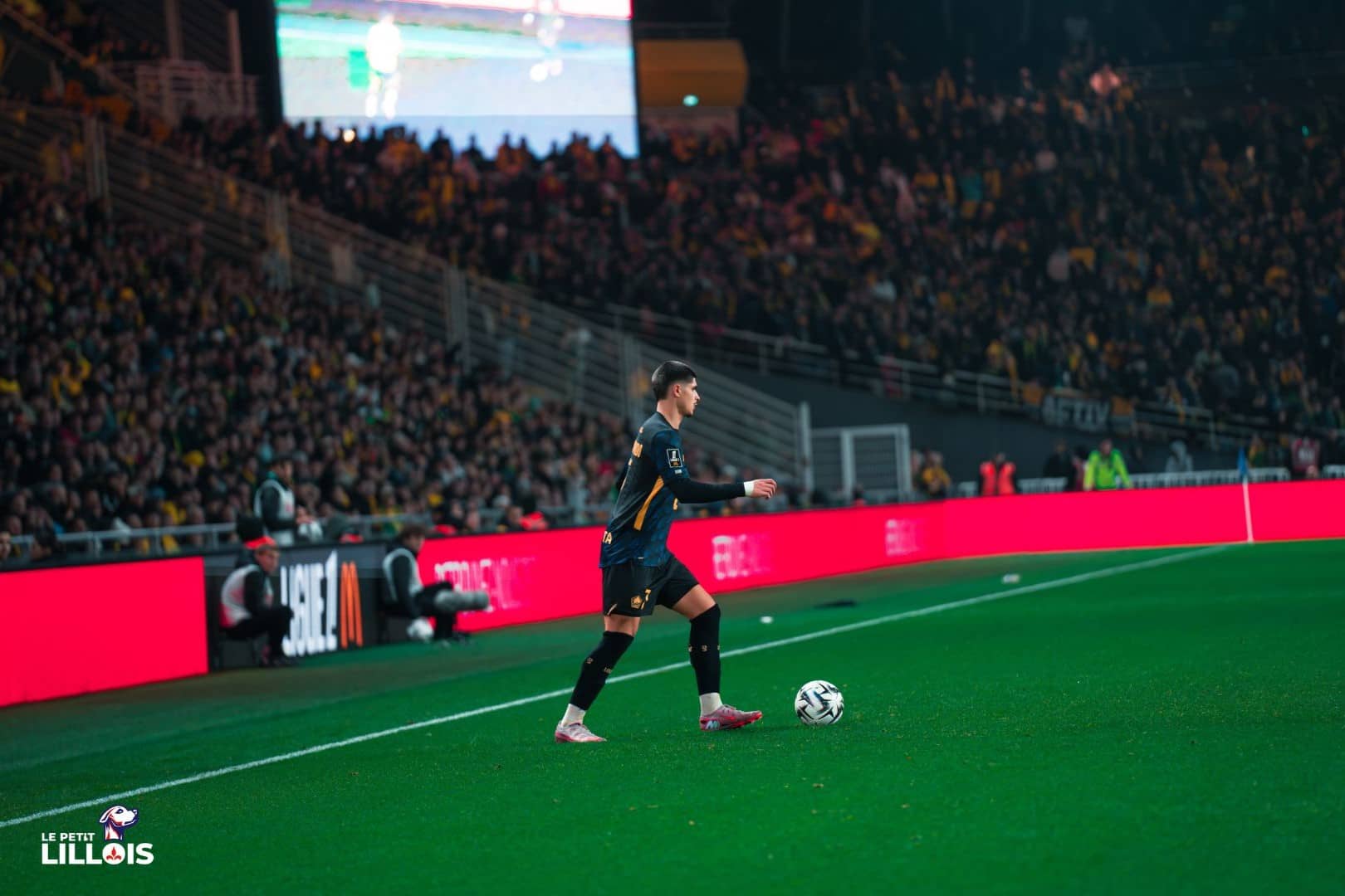 Deuxième défaite consécutive pour le LOSC en Ligue Europa, battu par l’Étoile Rouge de Belgrade