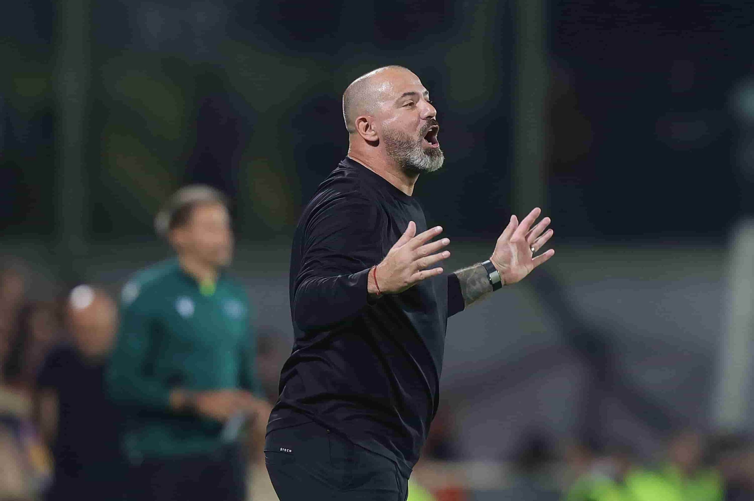 Dejan Stankovic, entra&icirc;neur de l'Etoile Rouge de Belgrade, adversaire du LOSC en barrages d'Europa League.