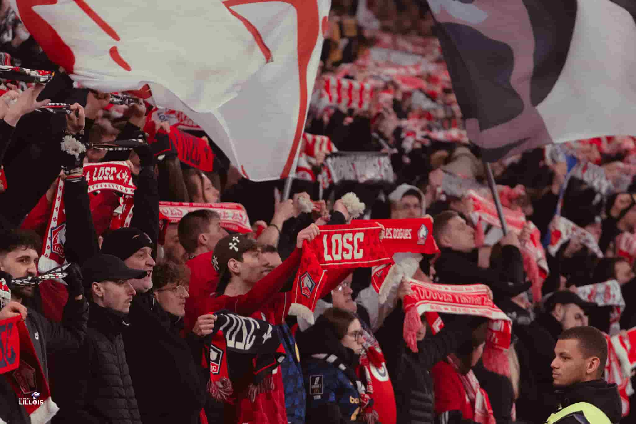 Les supporters lillois actifs en tribunes pendant LOSC - SC Fribourg.