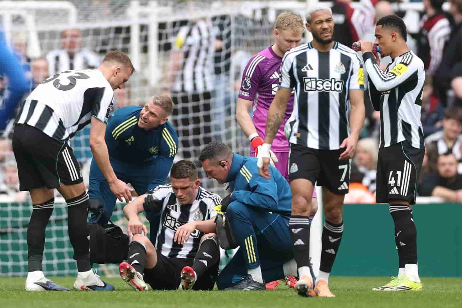 Sven Botman, victime d'une nouvelle blessure avec Newcastle.