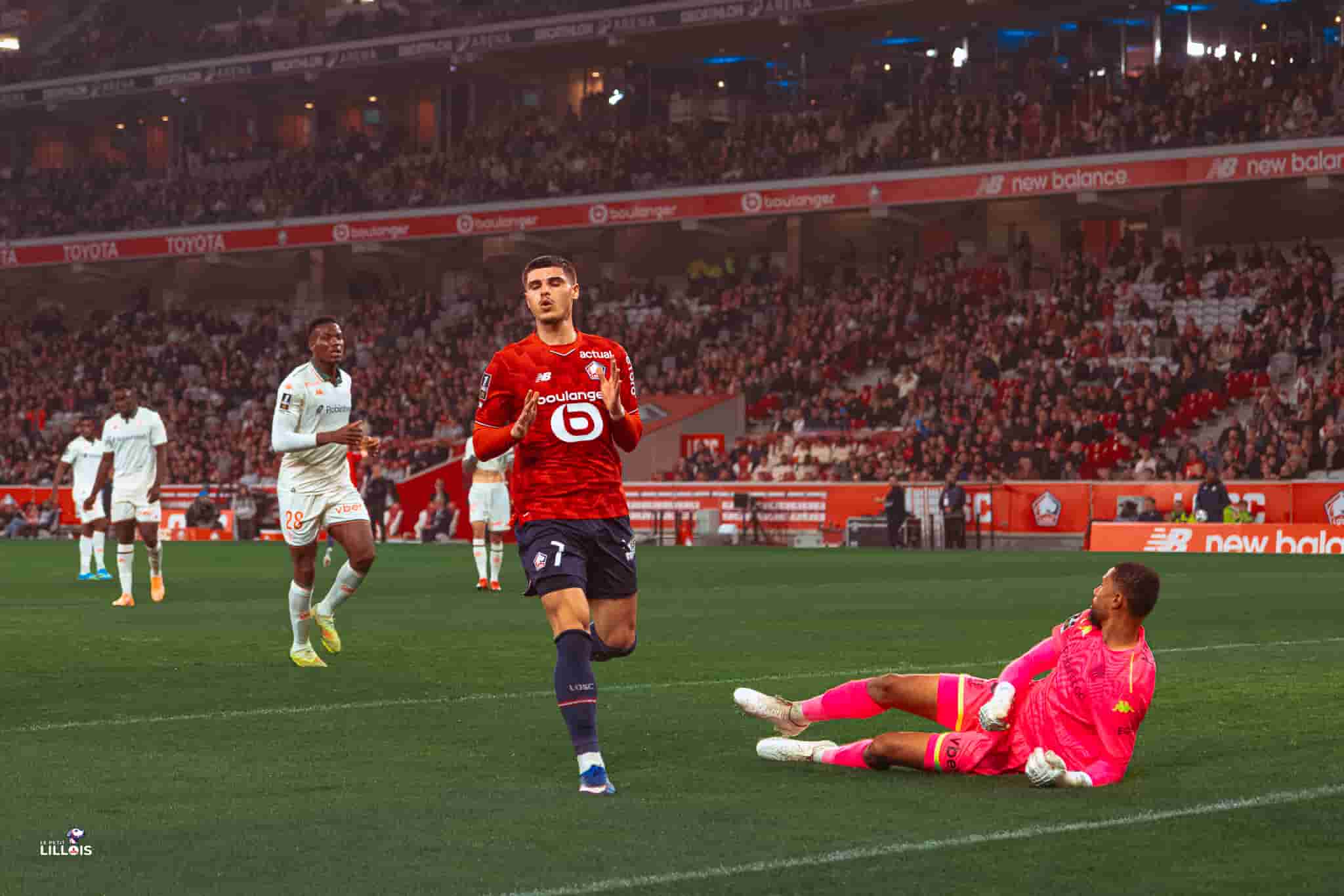 Matias Fernandez-Pardo, attaquant du LOSC.