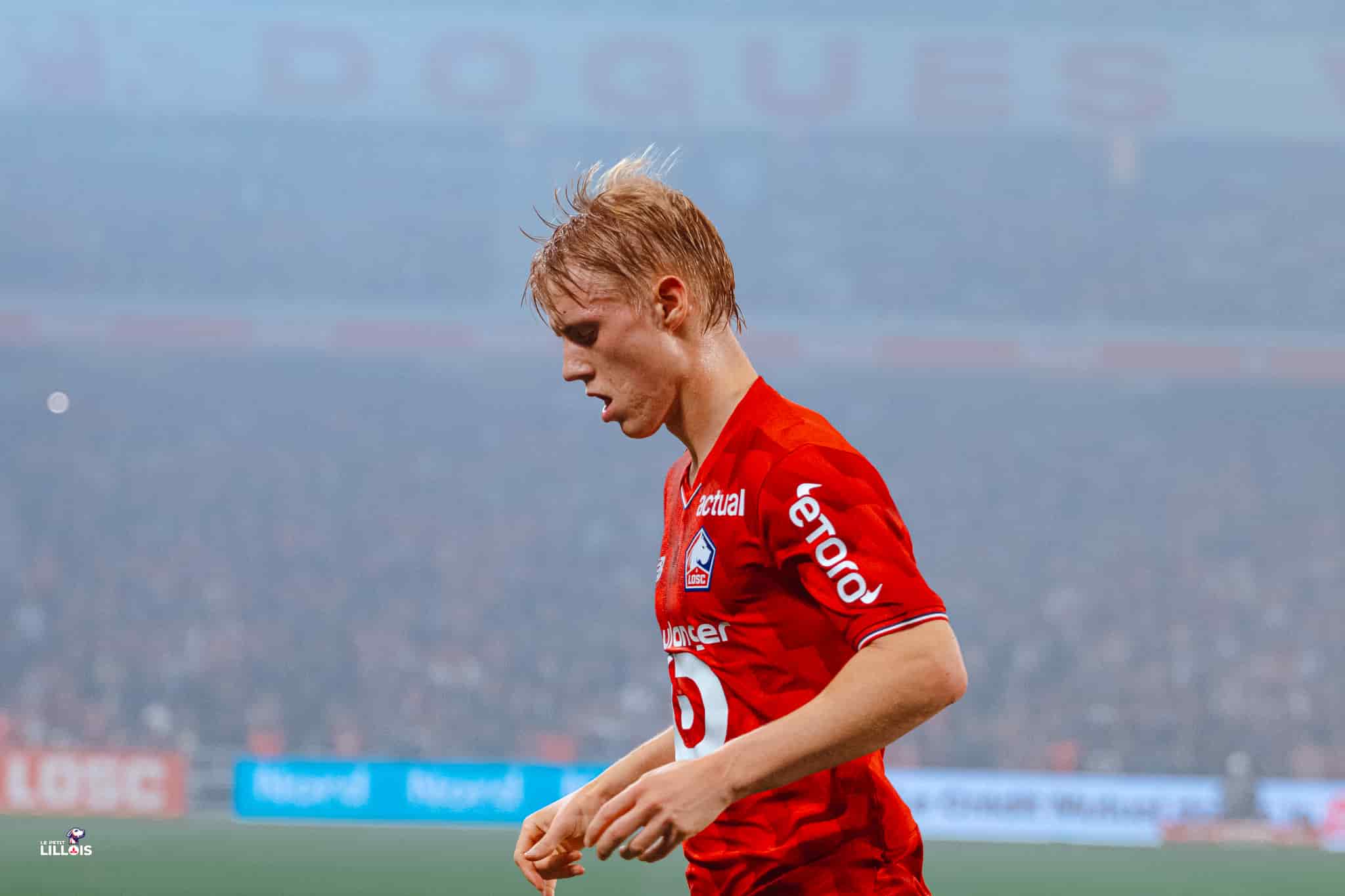Hakon Haraldsson Hakon Haraldsson, attaquant du LOSC.