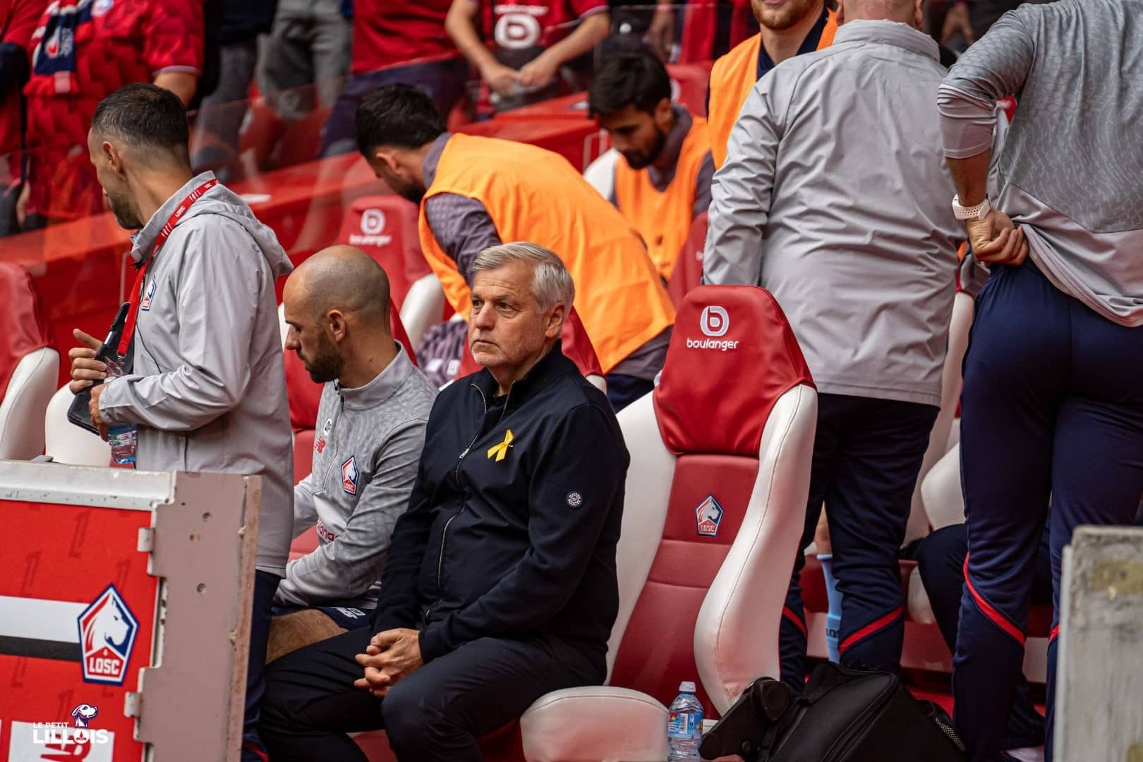 Bruno Genesio sur le banc du LOSC lors de la r&eacute;ception du Toulouse FC.
