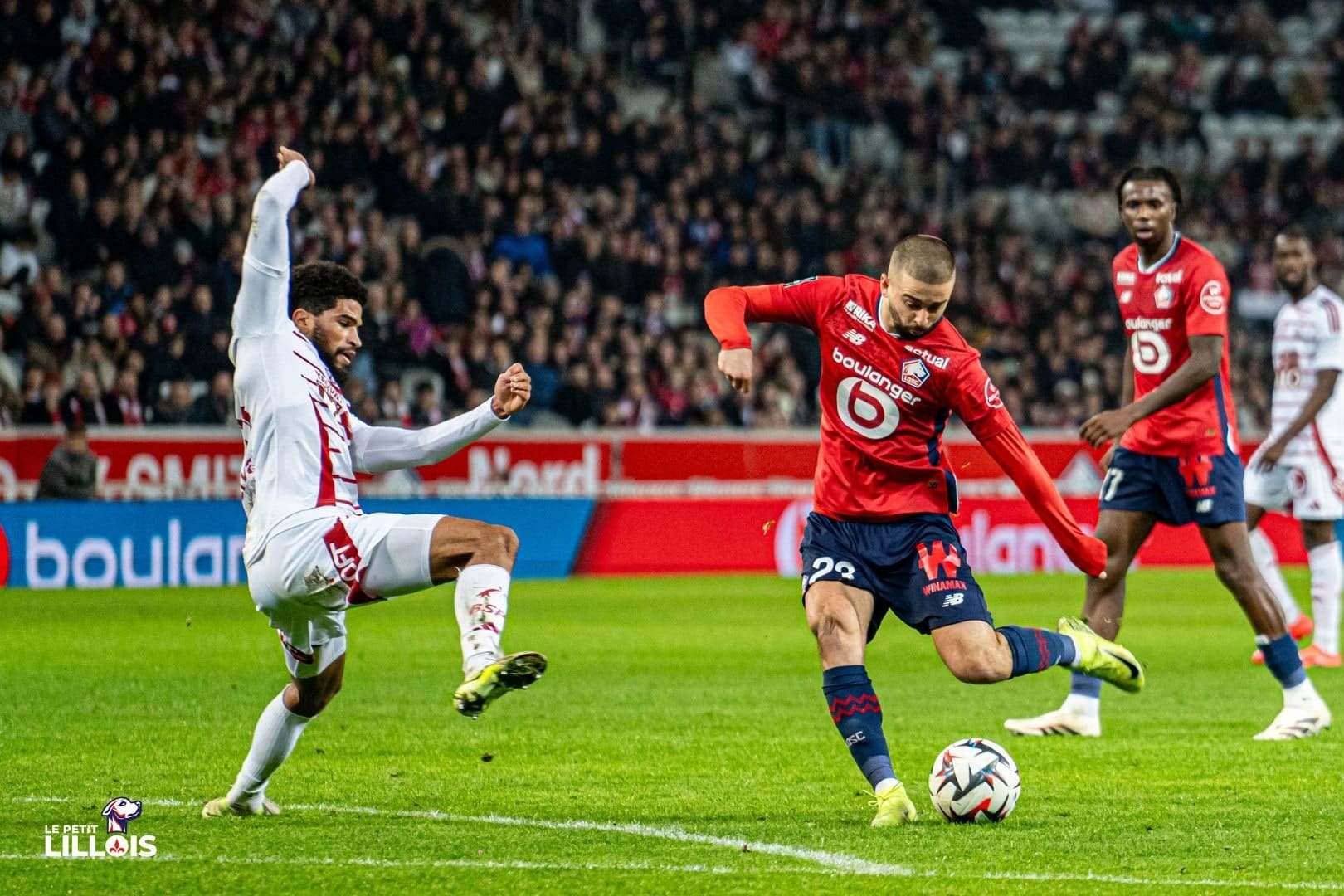 EdonZhegrova_LOSC (2)