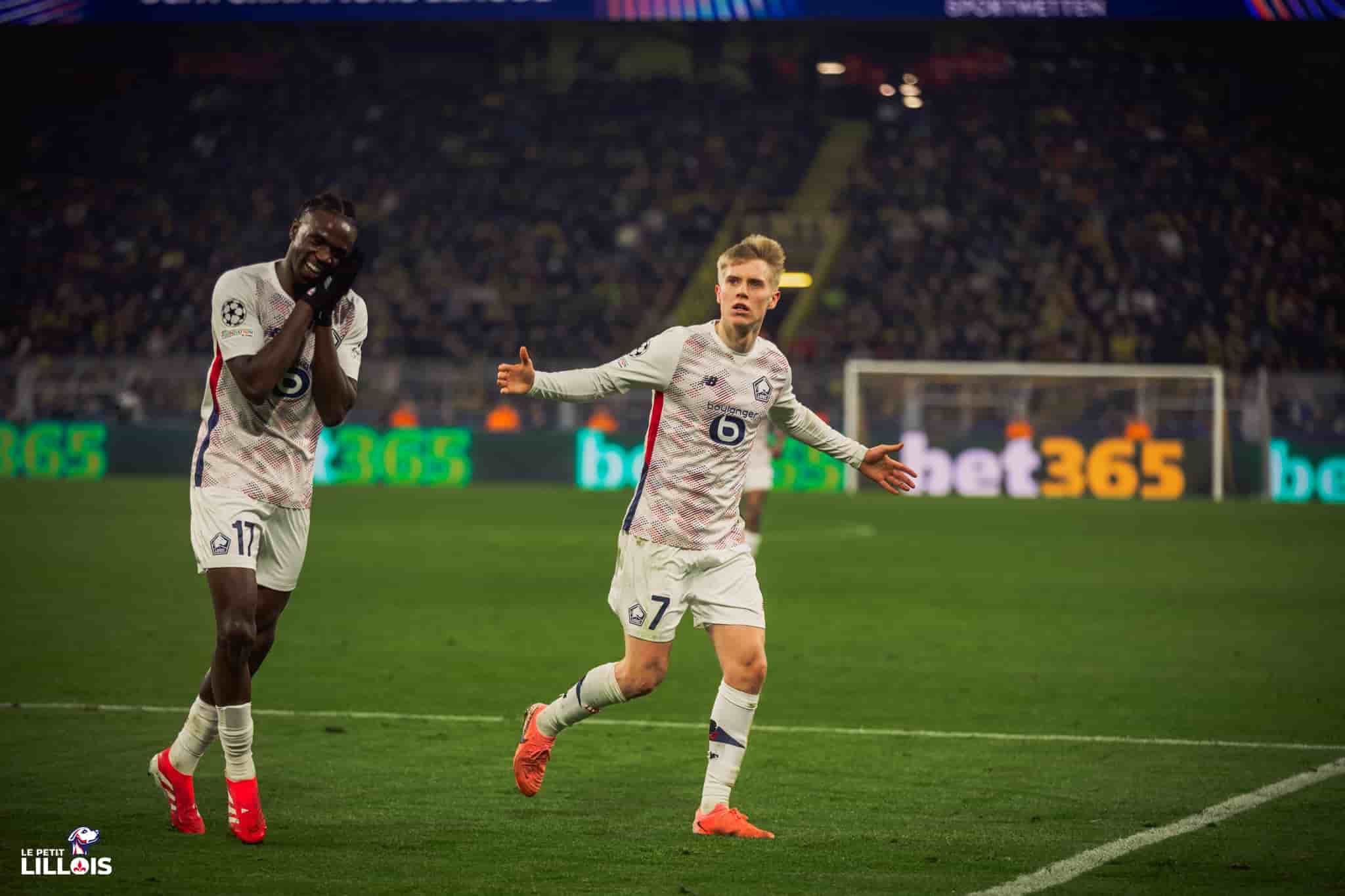 Hakon Haraldsson, attaquant du LOSC.