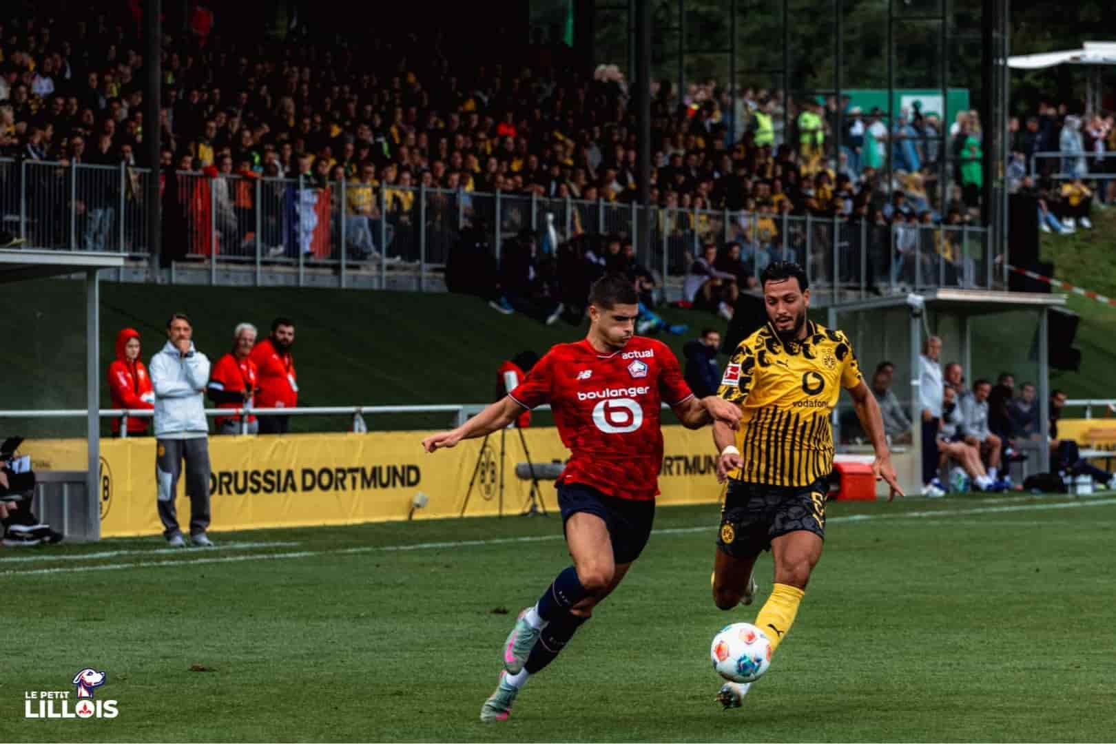 Matias Fernandez-Pardo Matias Fernandez-Pardo, attaquant du LOSC.