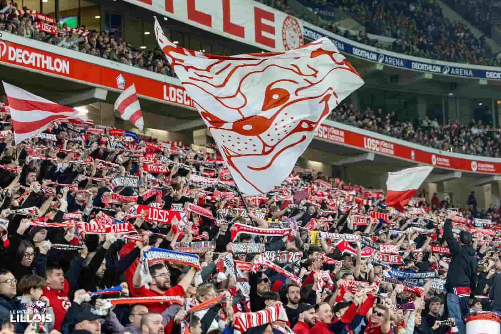 Les supporters lillois en tribunes pendant LOSC - FC Lorient.