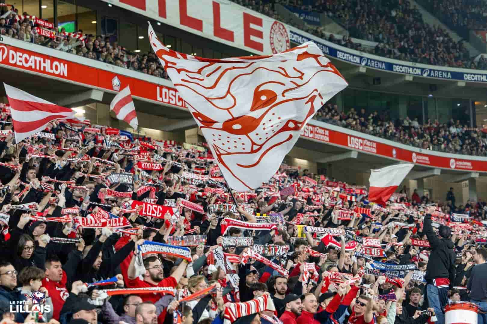 Les supporters lillois en tribunes pendant LOSC - FC Lorient.
