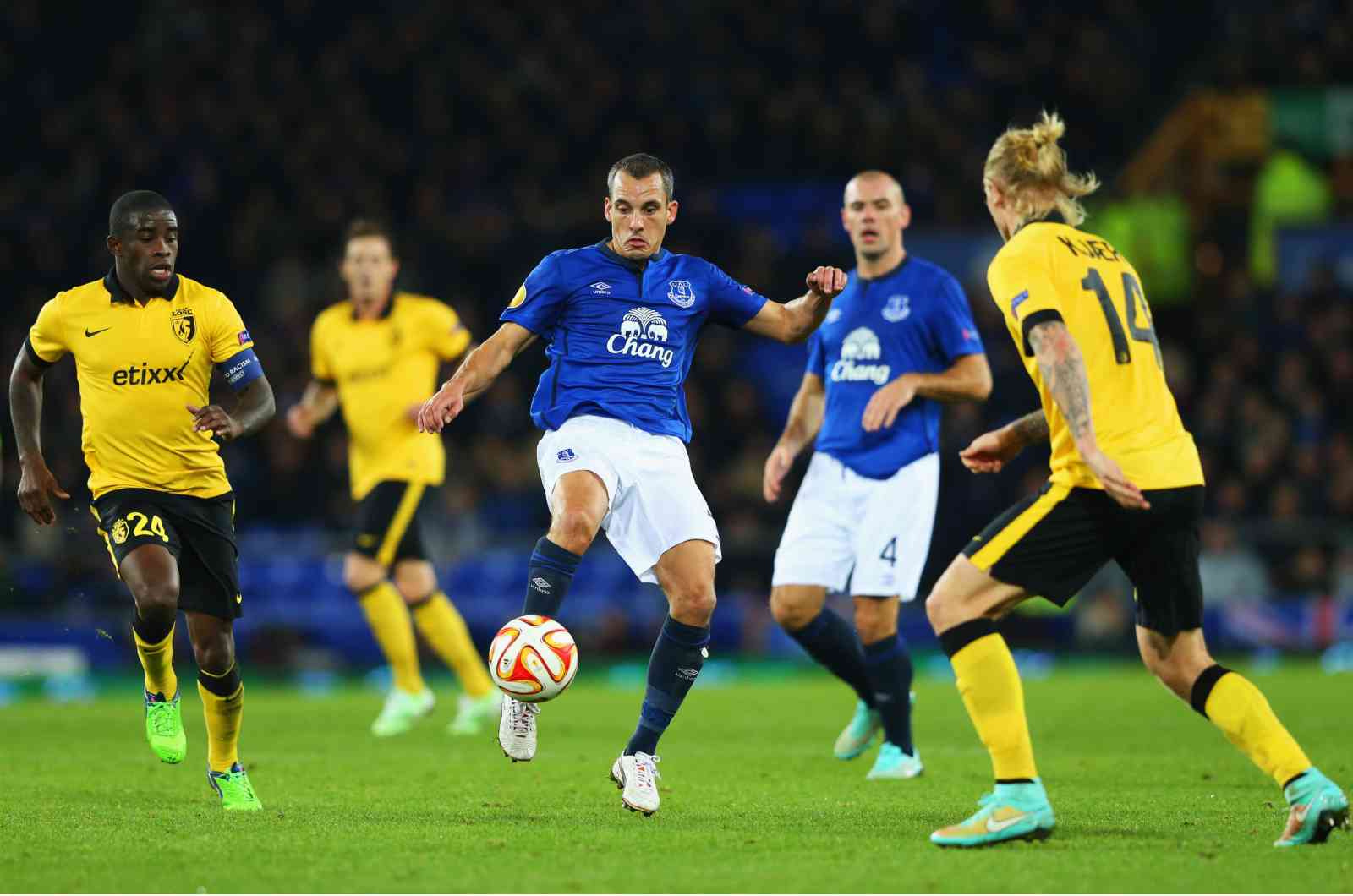 LIVERPOOL, ANGLETERRE - 06 NOVEMBRE : Leon Osman d&rsquo;Everton est suivi par Rio Antonio Mavuba (&agrave; gauche) et Simon Kjaer de Lille (&agrave; droite) lors du match du groupe H de la UEFA Europa League entre Everton FC et LOSC Lille &agrave; Goodison Park le 6 novembre 2014 &agrave; Liverpool, Royaume-Uni.