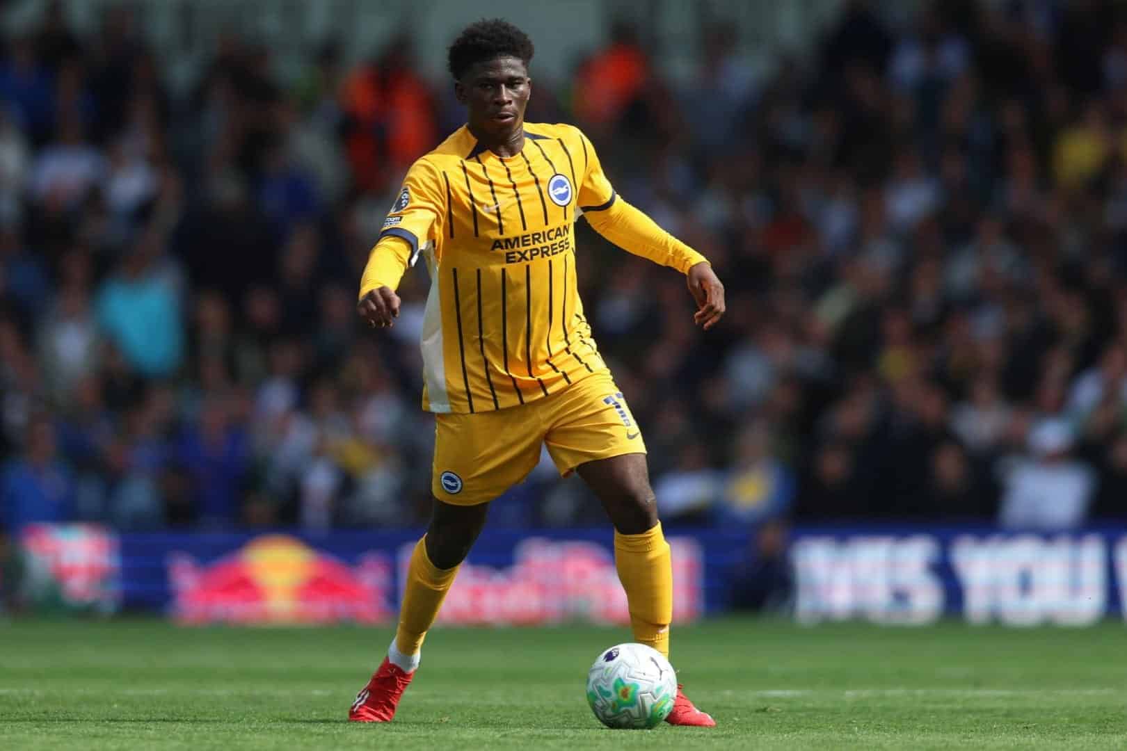 Carlos Baleba Carlos Baleba, ancien joueur du LOSC, blessé avec Brighton.