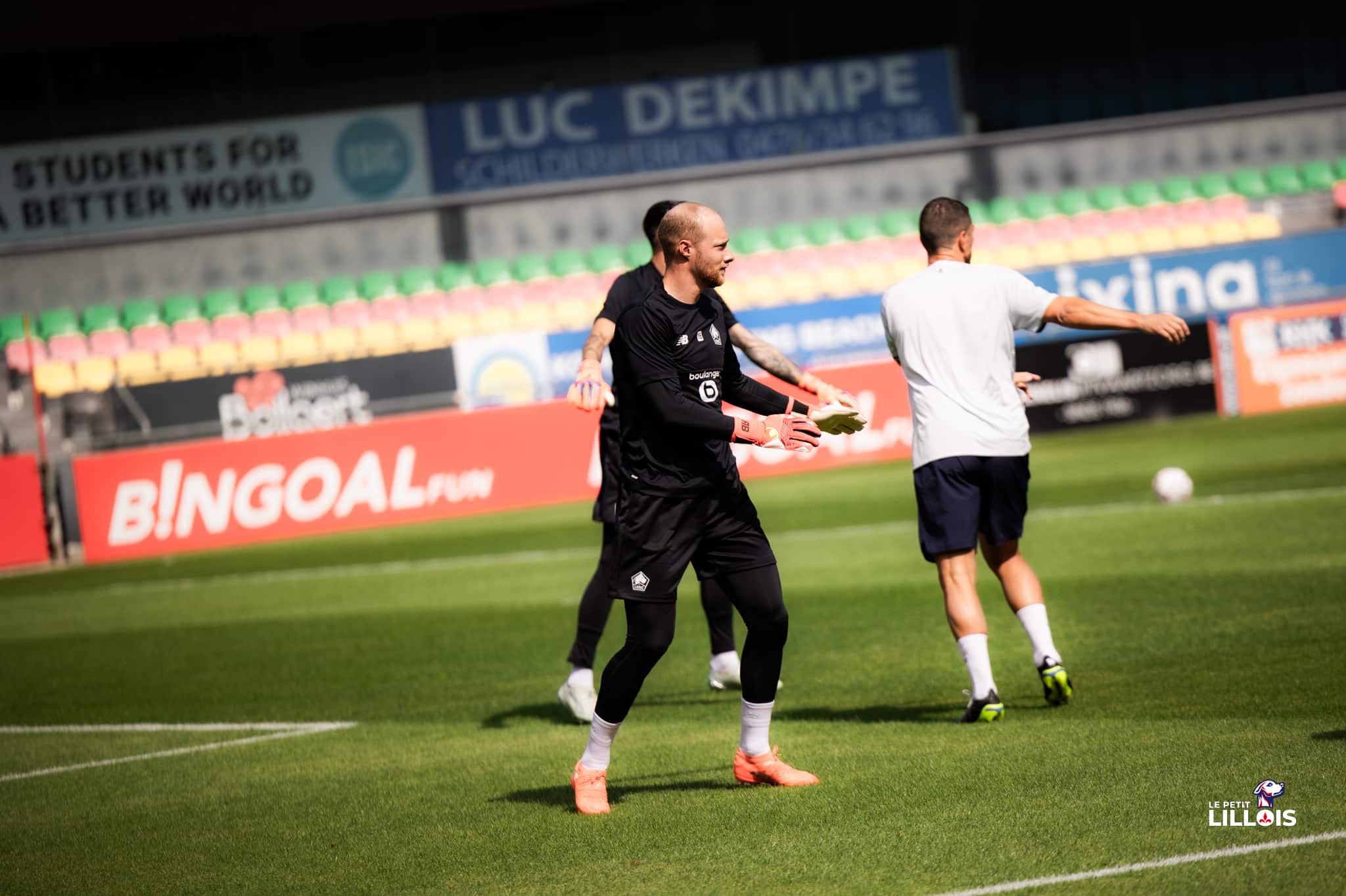 Arnaud Bodart, gardien belge du LOSC.