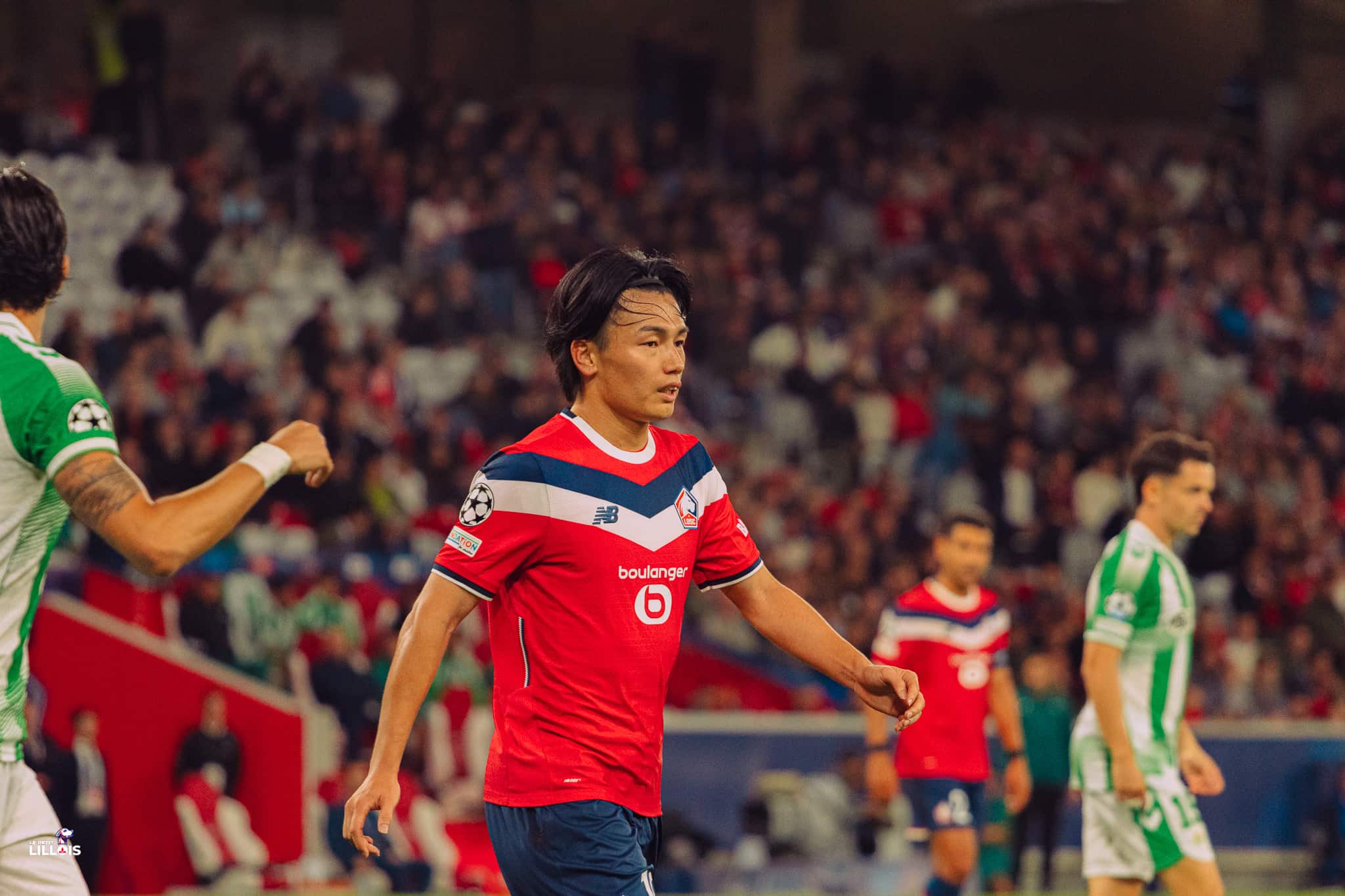 Ayase Ueda, attaquant japonais du LOSC.
