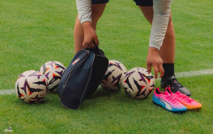 Le LOSC compte ses ballons sur les pelouses de Ligue 1.