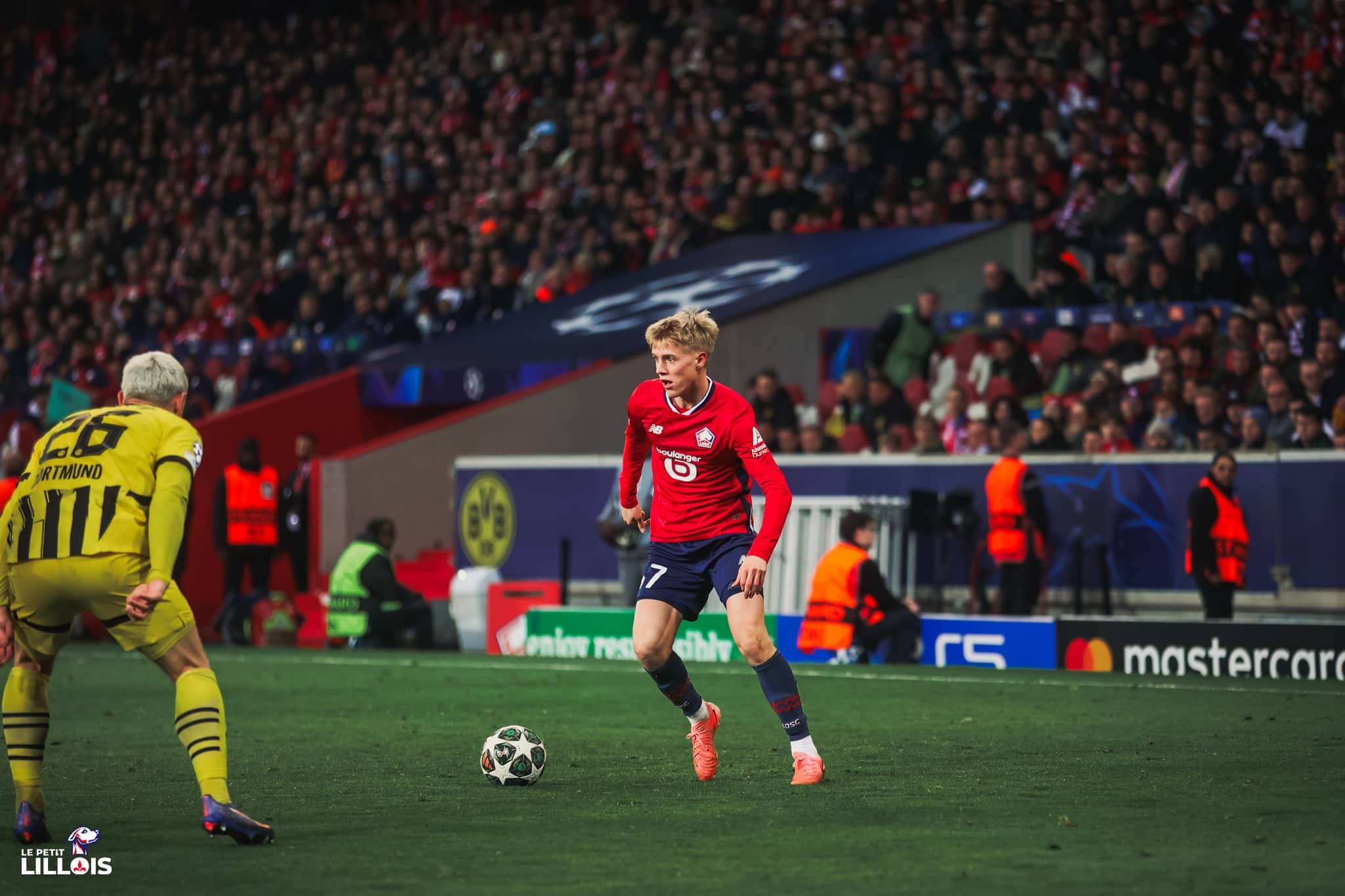 Hakon Haraldsson, joueur du LOSC.