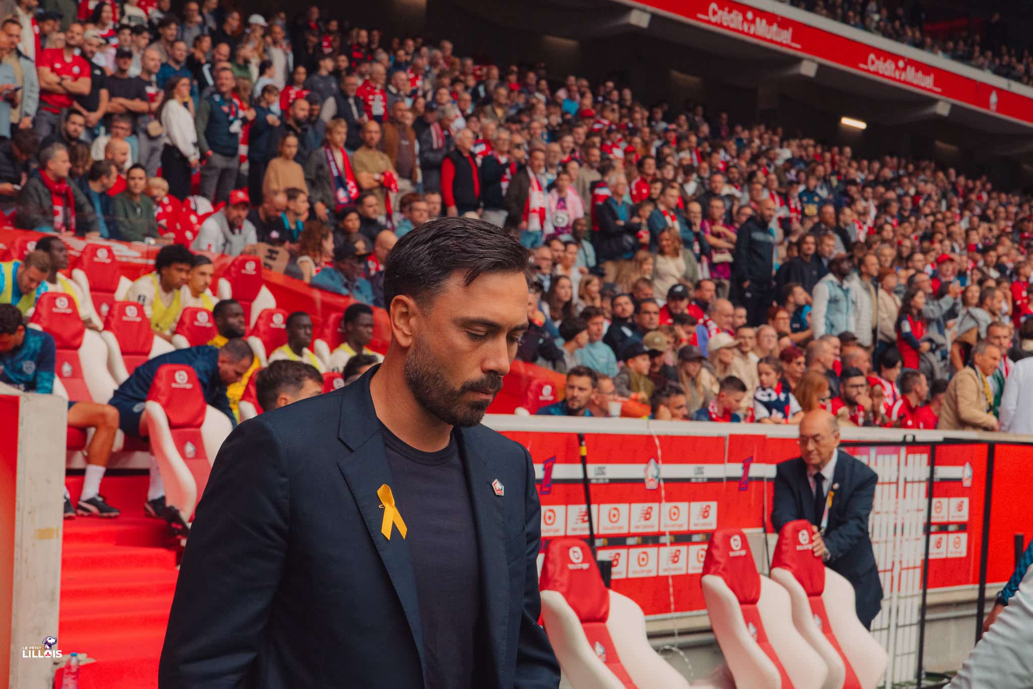 Davide Ancelott, entra&icirc;neur du LOSC.